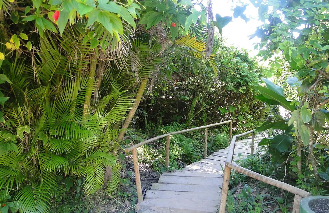 Casa na praia de Itamambuca na cidade de Ubatuba-1